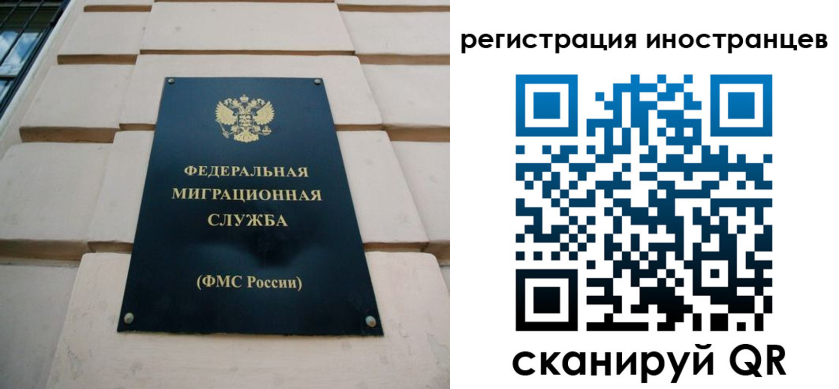 где прописаться в Нелидово