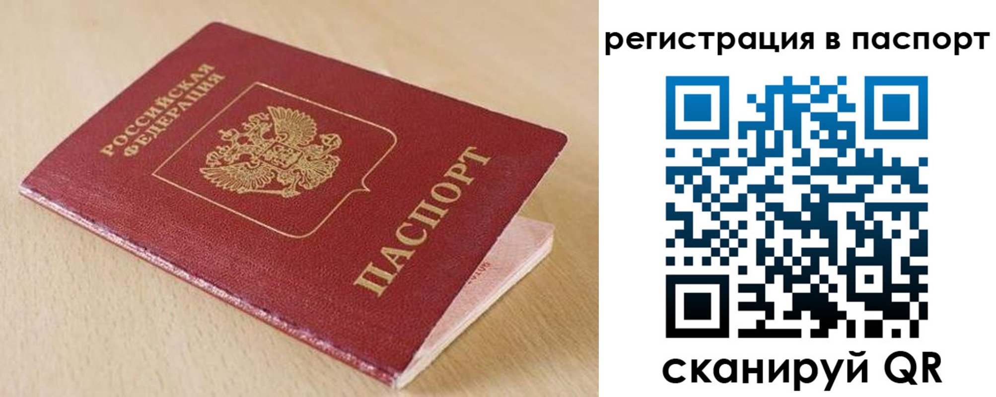 прописка поиск в Нелидово