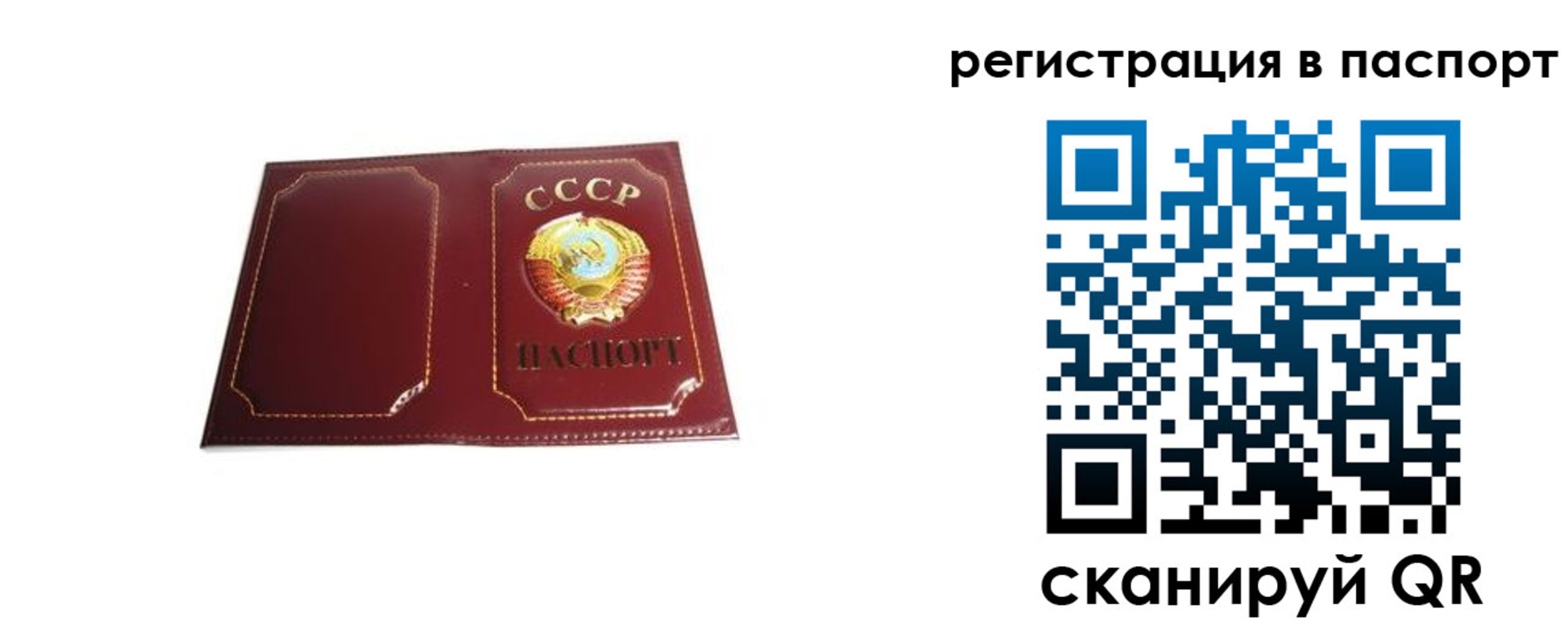 прописка 2025 в Нелидово